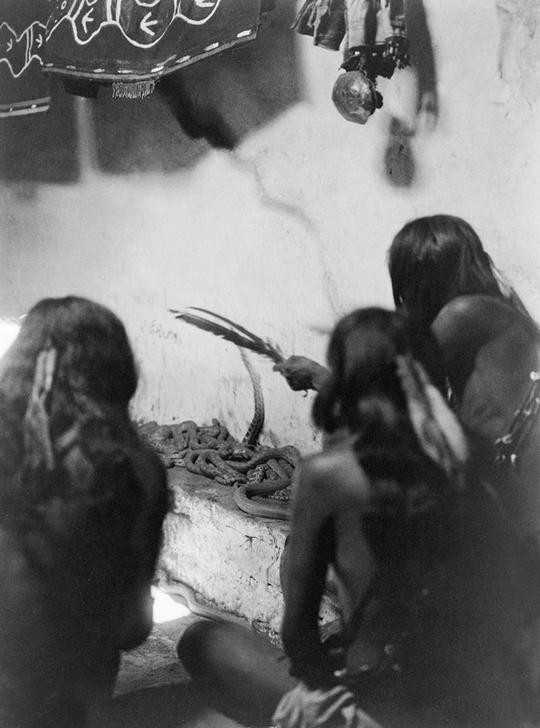 Edward S. Curtis, Unbekannt (Schlangen, Kult, Ritual,  Federschmuck, Hopie, Portrait, Menschen, Indianer, Völkerkunde, Fotografie, Wunschgröße, Wohnzimmer, schwarz/weiß)
