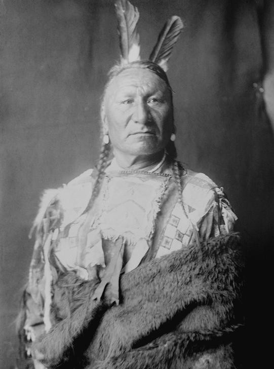 Edward S. Curtis, Unbekannt (VÖLKERKUNDE, INDIANER, PORTRAIT, HÄUPTLING, FEDERSCHMUCK, YANKTONAI)
