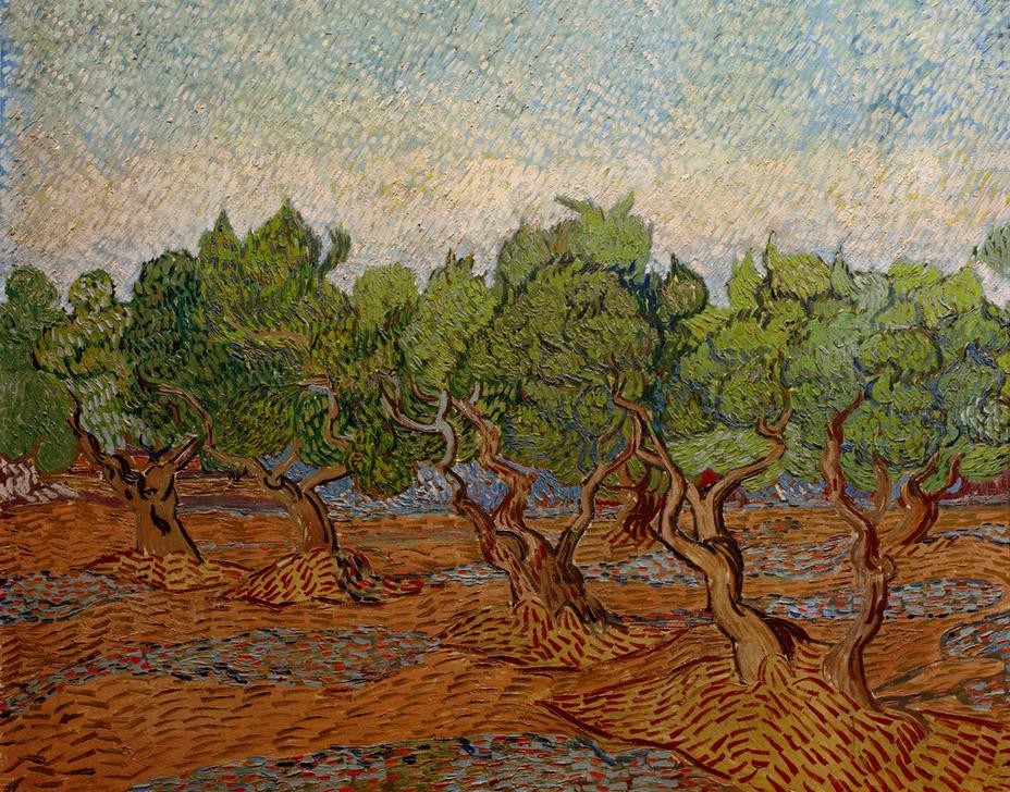 Vincent van Gogh, Olivenhain (Kunst,Landschaft,Olivenhain,Impressionismus,Baum,Niederländische Kunst,Olivenbaum,Landwirtschaft)