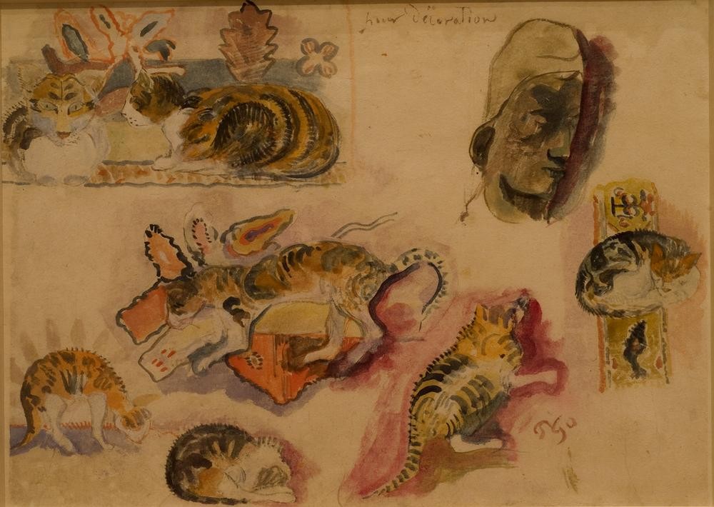 Paul Gauguin, Katzen und Kopf (Katze (Tier),Kunst,Zoologie,Studie,Französische Kunst,Haustier,Tier,Kopf,Säugetier)