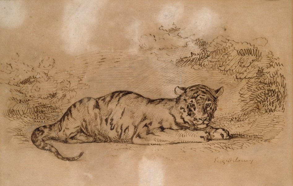 Eugene Delacroix, Tigre couché (Kunst,Zoologie,Tiger,Französische Kunst,Tierleben,Raubkatze,Exotik,Romantik,Liegen)