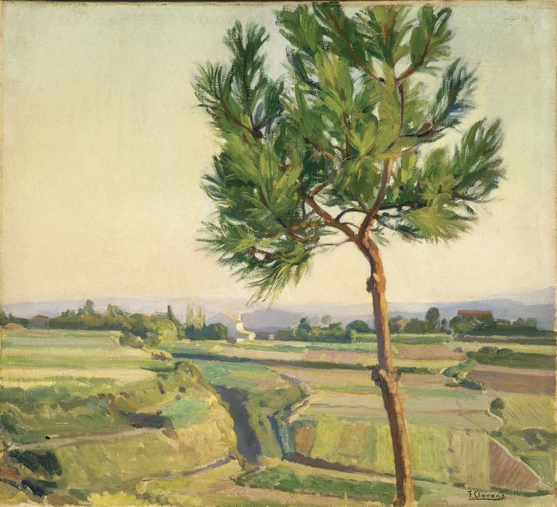 Francisco Llorens Diaz, EL ARBOLITO (MERA) (Landschaft, Landschaftsmalerei, Felder, Baum, klassische Moderne, Wohnzimmer, Impressionismus, Wunschgröße, Malerei)