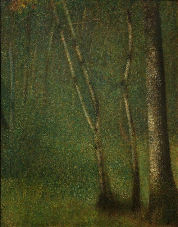 Georges Seurat, Unterholz in Pontaubert (Kunst,Landschaft,Wald,Laubwald,Impressionismus,Pointillismus,Baum,Französische Kunst,Menschenleere,Baumstamm)
