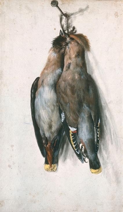 Lucas Cranach der Ältere, Zwei tote Seidenschwänze an einem Nagel hängend (Deutsche Kunst,Jagd,Vogel,Zoologie,Renaissance,Stillleben,Seidenschwanz,Vogelfang,Jagdstillleben,Kadaver)