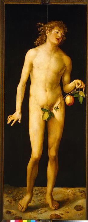 Albrecht Dürer, Adam (Apfel,Renaissance,Altes Testament,Akt,Sündenfall,Bibel,Baum Der Erkenntnis,Feigenblatt,Jüdisch-Christlich)