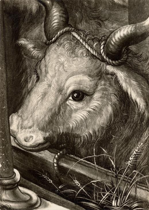 Albrecht Dürer, Die Geburt Christi
