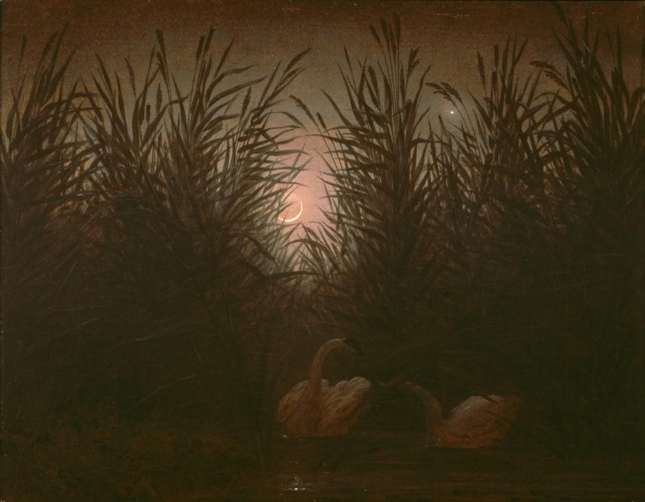 Caspar David Friedrich, Schwäne im Schilf (Botanik,Licht Und Beleuchtung,Vogel,Zoologie,Tageszeiten,Nacht,Schwan (Tier),Gras,Schilf,Paar,Mondsichel,Mondschein,Dunkelheit)