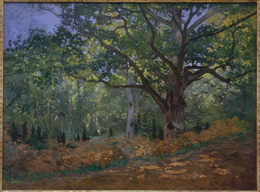 Claude Monet, Un chene au Bas-Bréau (Le Bodmer) (Eiche,Kunst,Landschaft,Wald,Laubwald,Impressionismus,Baum,Französische Kunst,Laubbaum)