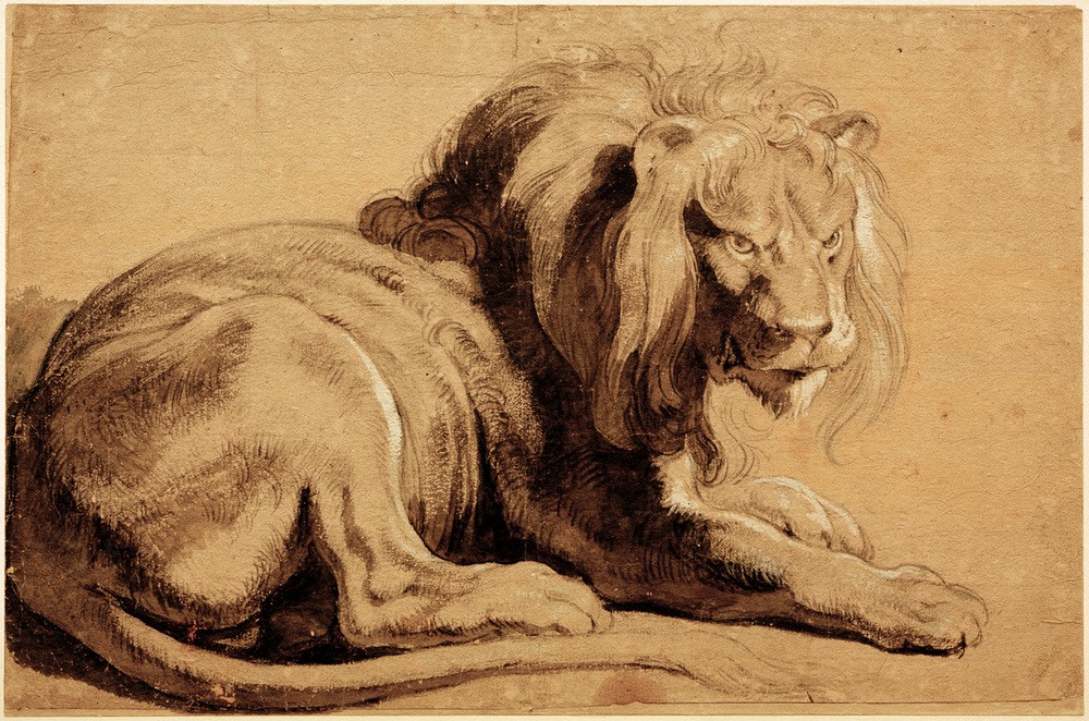 Peter Paul Rubens, Sitzender Löwe (Flämische Kunst,Kunst,Löwe (Tier),Zoologie,Barock,Studie,Niederländische Kunst,Raubkatze,Raubtier,Tier,Daniel In Der Löwengrube)