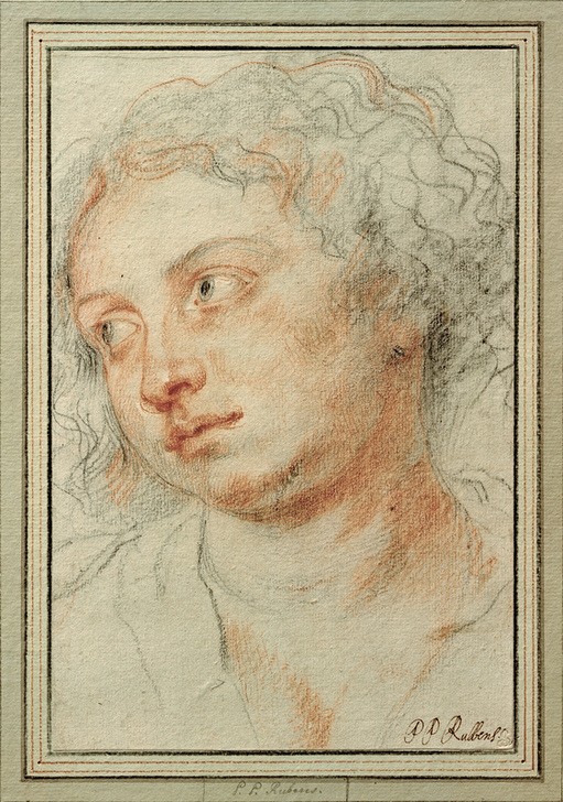 Peter Paul Rubens, Kopf einer jungen Frau nach links (Flämische Kunst,Frau,Heilige,Kunst,Mensch,Barock,Portrait,Studie,Niederländische Kunst,Ildefonso-Altar,Kopf,Halbprofil,Blick (Allgemein))