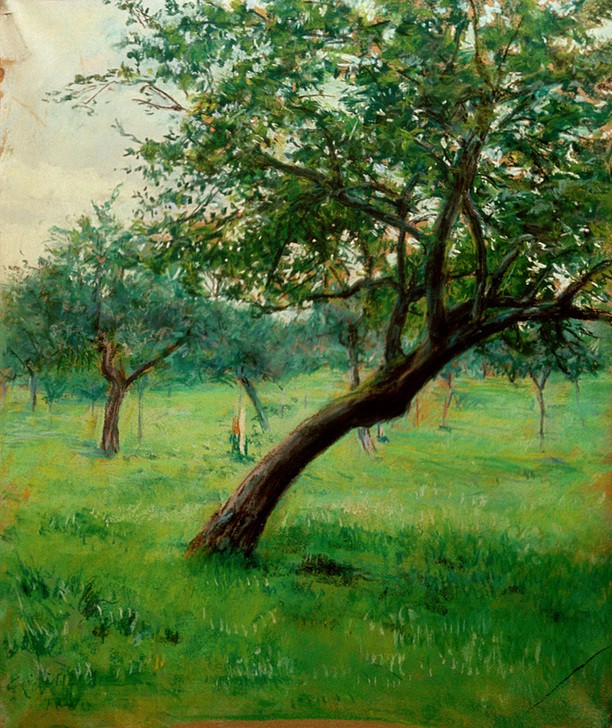 Gustave Caillebotte, Verger, dit aussi Verger en Normandie (Kunst,Landschaft,Obstgarten,Impressionismus,Baum,Französische Kunst,Obstbaum,Nutzgarten,Garten)