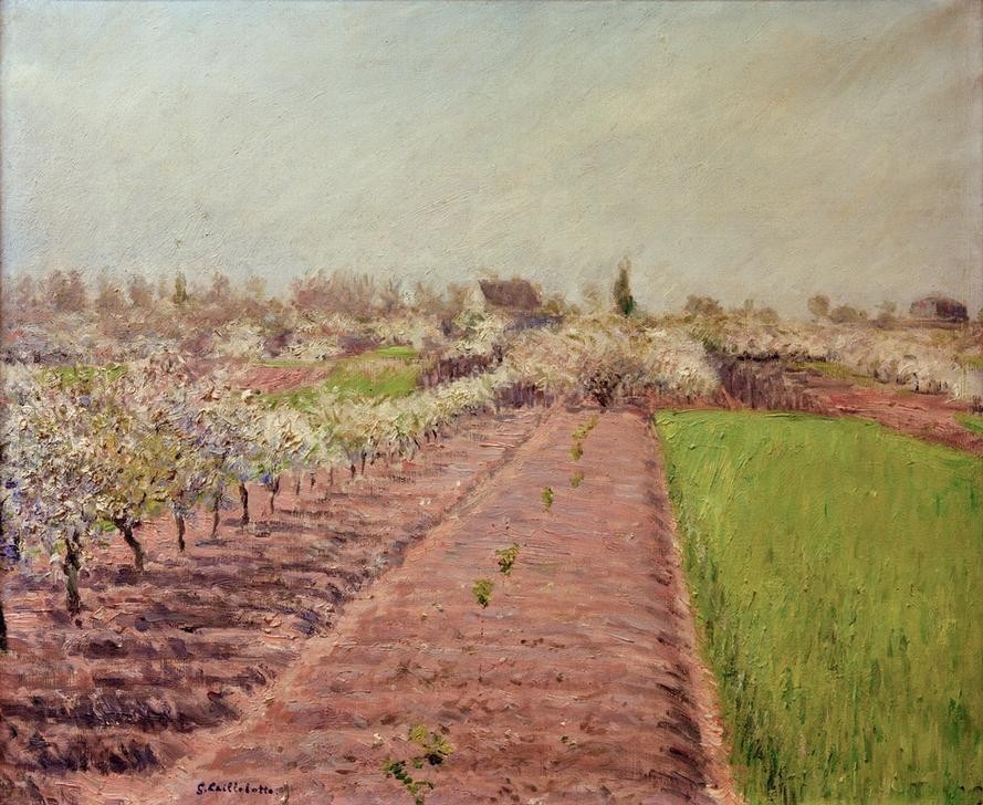 Gustave Caillebotte, Pommiers en fleurs, coteau de Colombes (Baumblüte,Jahreszeiten,Kunst,Landschaft,Obstbau,Impressionismus,Frühling,Französische Kunst,Apfelbaum,Obstbaum,Landwirtschaft)