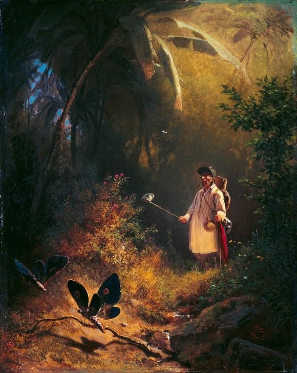 Carl Spitzweg, Der Schmetterlingsfänger (Brille,Deutsche Kunst,Jäger,Jagd,Karikatur,Mann,Entomologe,Urwald,Zoologie,Traum,Biedermeier,Sonnenbrille,Insekt,Schmetterling,Nachthemd,Schmetterlingsfang,Mutation,Jägerlatein,Schmetterlingsnetz,Schutzbrille,Staunen,Tierfang,Reisekleidung,Insektenjagd)