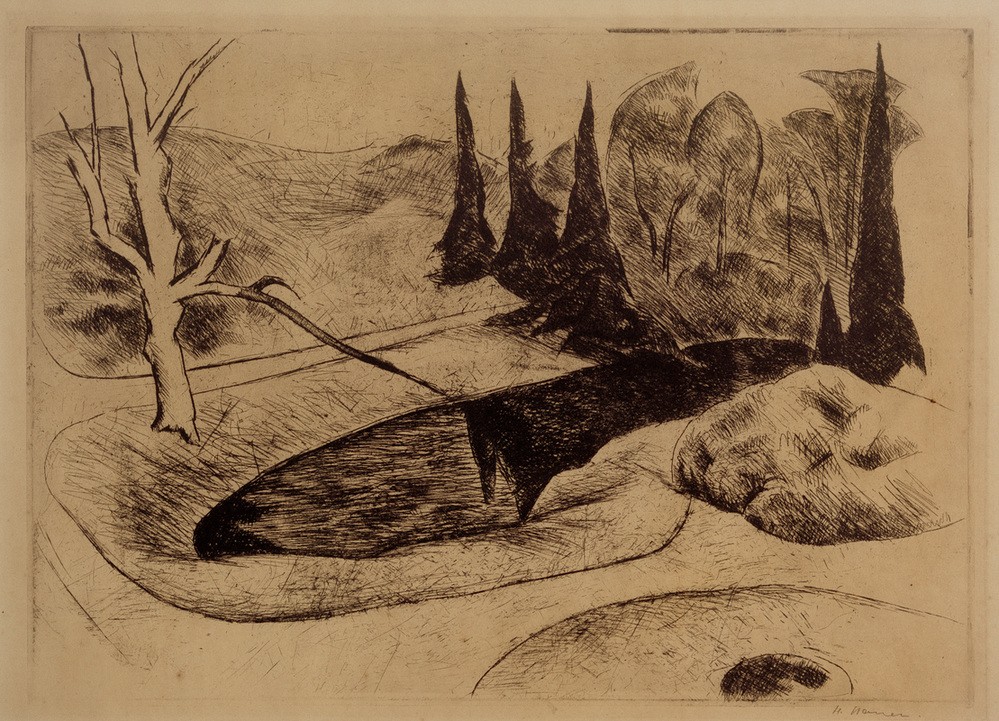 Heinrich Nauen, Park in Dilborn, 1914 (Deutsche Kunst,Garten Und Park,Gewässer,Kunst,Landschaft,Park,Schlosspark,See,Spiegelung,Baum,Expressionismus)