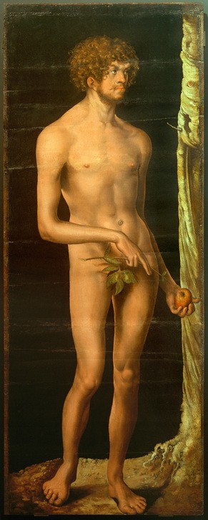 Lucas Cranach der Ältere, Adam (Apfel,Christentum,Deutsche Kunst,Früchte,Kunst,Mann,Obst,Religion,Renaissance,Altes Testament,Akt,Sündenfall,Bibel,Portrait,Baum,Paradies,Versuchung,Donauschule,Baum Der Erkenntnis,Feigenblatt,Nacktheit,Genesis,Ganzfigurig,Jüdisch-Christlich)