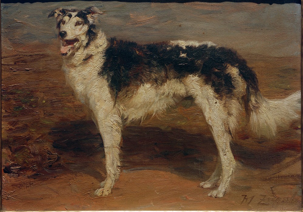 Heinrich von Zügel, Windhund (Biologie,Deutsche Kunst,Kunst,Landschaft,Sezession,Zoologie,Impressionismus,Hund,Portrait,Windhund,Studie,Tier,Ganzfigurig,Münchner Sezession,Tierstudie,Signatur)