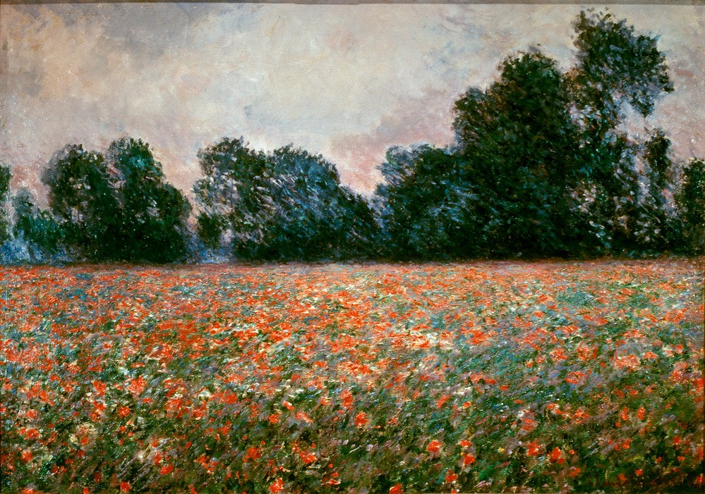 Claude Monet, Les Coquelicots à Giverny (Botanik,Landschaft,Impressionismus,Mohn,Französische Kunst,Feld,Blume,Rot)