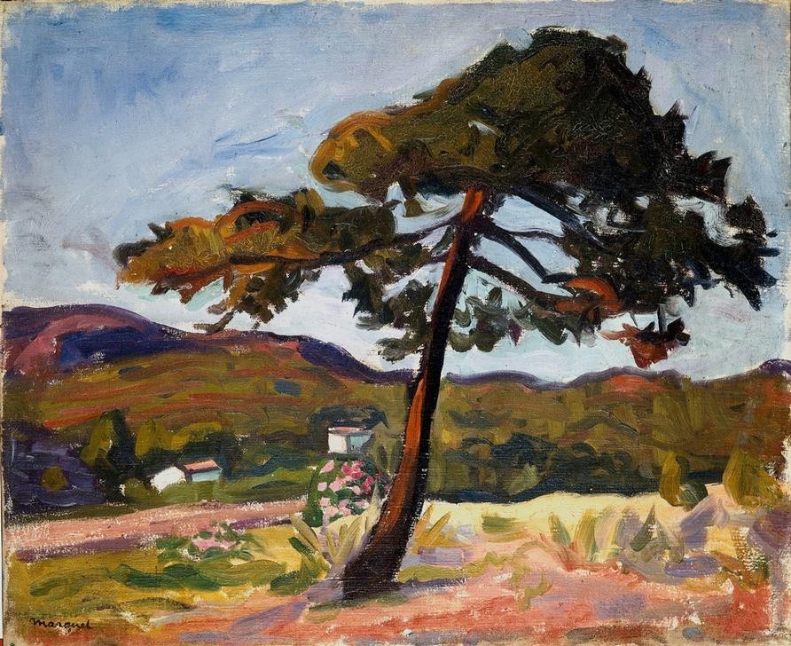 Albert Marquet, Pinie in St. Tropez (Botanik,Landschaft,Seebad,Impressionismus,Fauves,Baum,Französische Kunst,Pinie,Jahrhundertwende)