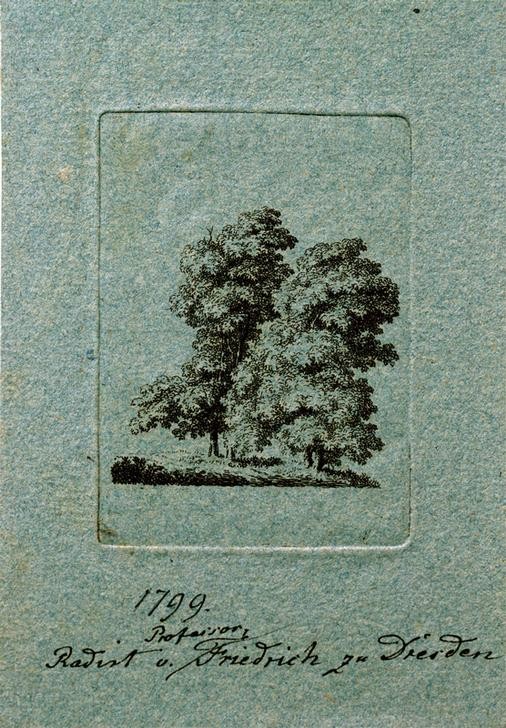 Caspar David Friedrich, Bäume (Botanik,Deutsche Kunst,Kunst,Landschaft,Baum,Studie,Romantik)