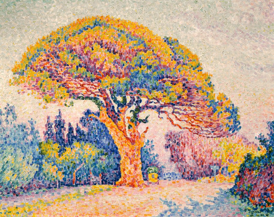 Paul Signac, Signac, Pinie von Bertaud (Landschaft,Impressionismus,Pointillismus,Kiefer (Baum),Baum,Französische Kunst,Pinie,Solitär (Baum))