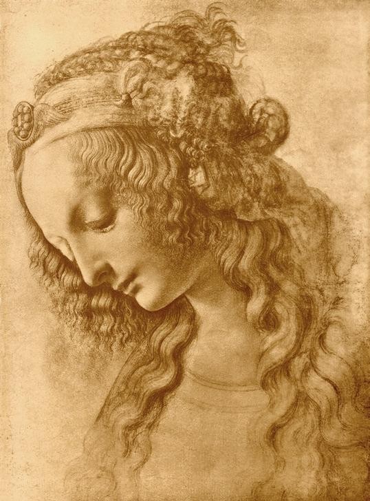 Leonardo da Vinci, Weiblicher Kopf im Profil (junge Frau, Schönheit, Portrait, demütig, Verträumt,  Haarband, Locken, Flechtfrisur, Halbprofil, Klassiker, Zeichnung, Treppenhaus, Wohnzimmer, Wunschgröße)