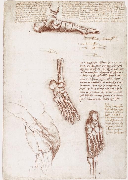 Leonardo da Vinci, Anatomiestudien: Oberflächenanatomie der Schulter / Knochen des Fußes. (Anatomie,Geheimschrift,Handschrift,Medizin,Naturwissenschaft,Schreiben Und Schrift,Skelett,Renaissance,Autograph,Studie,Italienische Kunst,Fuss,Muskulatur,Schulter,Spiegelschrift)