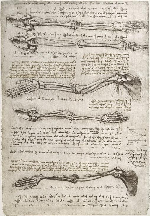 Leonardo da Vinci, Anatomiestudien (Anatomie,Geheimschrift,Handschrift,Medizin,Naturwissenschaft,Schreiben Und Schrift,Skelett,Renaissance,Autograph,Hand,Studie,Italienische Kunst,Arm (Extremität),Spiegelschrift,Bewegungsablauf)