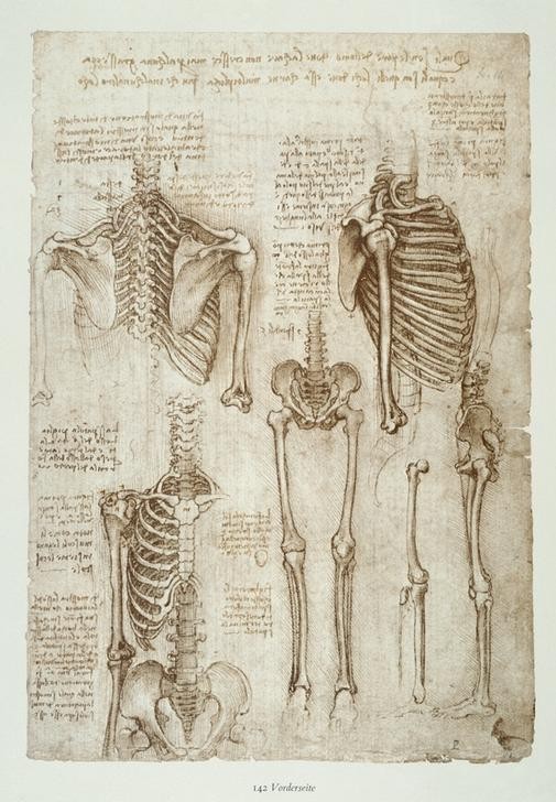 Leonardo da Vinci, Anatomiestudien (Anatomie, Handschrift, Mensch, Medizin, Naturwissenschaft,    Studie, Skelett, Brustkorb, Becken, beine, Knochen, Renaissance, Klassiker, Zeichnung, Wunschgröße, Wohnzimmer, Arztpraxis)