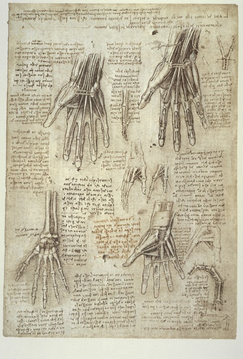 Leonardo da Vinci, Anatomiestudien (Anatomie, Handschrift, Mensch, Medizin, Naturwissenschaft,    Studie, Skelett, Hände, Muskeln, Sehnen, Knochen, Renaissance, Klassiker, Zeichnung, Wunschgröße, Wohnzimmer, Arztpraxis)