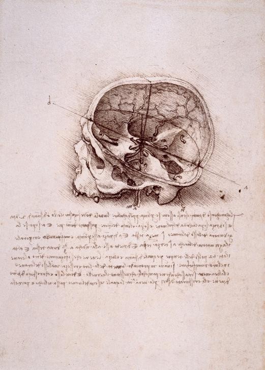 Leonardo da Vinci, senso commune (Anatomie, Handschrift, Mensch, Medizin, Naturwissenschaft,    Studie, Schädel, Skelett, Knochen, Renaissance, Klassiker, Zeichnung, Wunschgröße, Wohnzimmer, Arztpraxis)