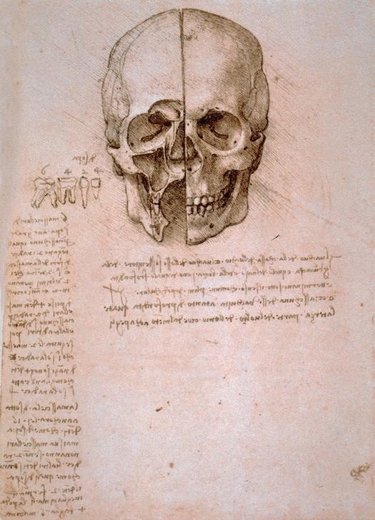 Leonardo da Vinci, Anatomiestudien: Schädelsektion (Anatomie, Handschrift, Mensch, Medizin, Naturwissenschaft,    Studie, Schädel, Skelett, Knochen, Renaissance, Klassiker, Zeichnung, Wunschgröße, Wohnzimmer, Arztpraxis)