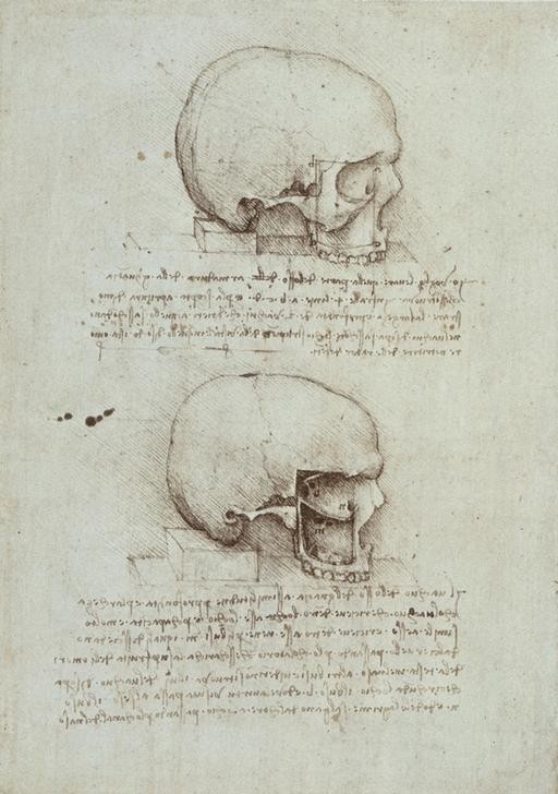 Leonardo da Vinci, Anatomiestudien (Anatomie, Handschrift, Mensch, Medizin, Naturwissenschaft,    Studie, Schädel, Skelett, Knochen, Renaissance, Klassiker, Zeichnung, Wunschgröße, Wohnzimmer, Arztpraxis)