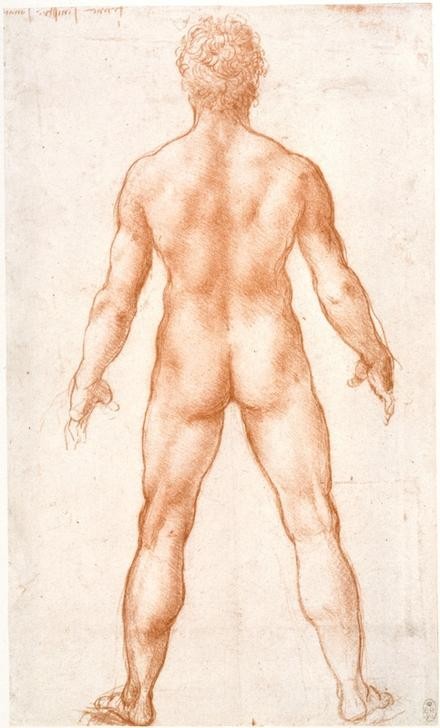 Leonardo da Vinci, Männlicher Akt in Rückenansicht (Anatomie, Mensch, Mann, Aktstudie, Rückenansicht, Medizin, Körperstudie, Muskulatur, Naturwissenschaft, Studie, Renaissance, Klassiker, Zeichnung, Wunschgröße, Wohnzimmer, Arztpraxis)