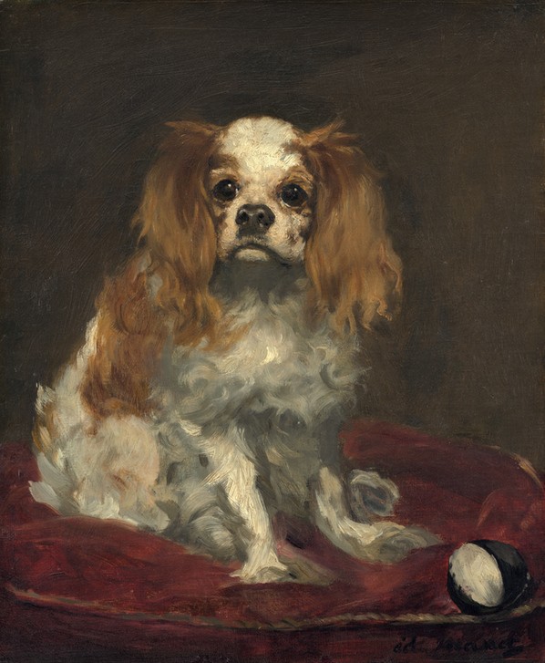 Edouard Manet, A King Charles Spaniel
