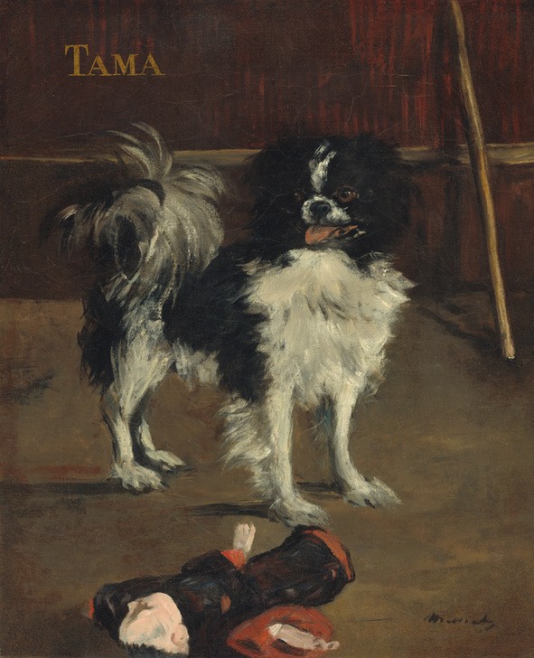 Edouard Manet, Tama, the Japanese Dog