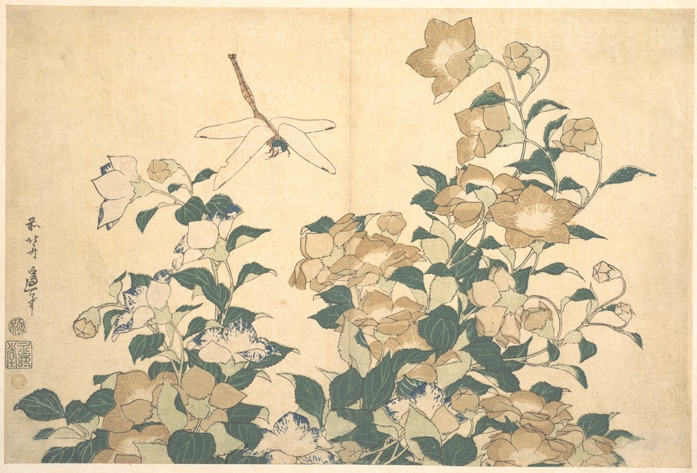 Katsushika Hokusai, Dragonfly and Bellflower