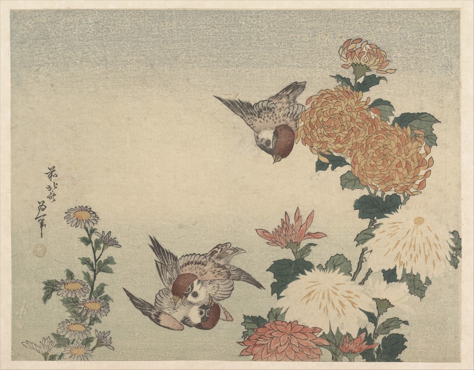 Katsushika Hokusai, Sparrows and Chrysanthemums