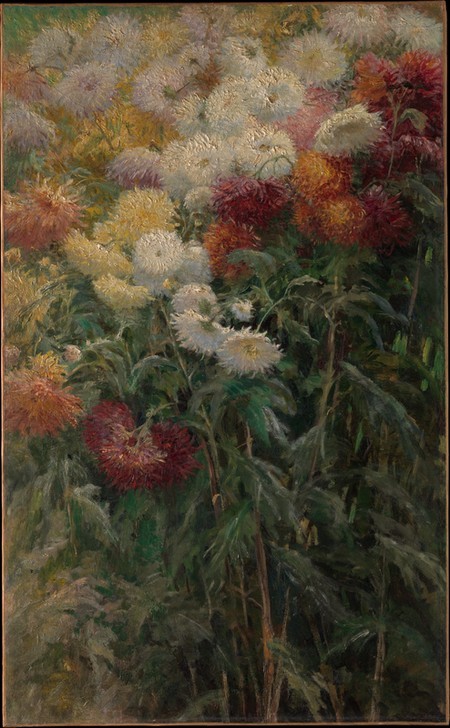 Gustave Caillebotte, Chrysanthemums in the Garden at Petit-Gennevilliers