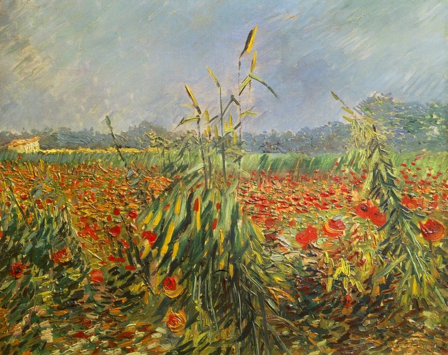 Vincent van Gogh, Grüne Kornhalme (Getreideanbau,Jahreszeiten,Juni,Landschaft,Monat,Sommer,Impressionismus,Mohn,Getreide,Niederländische Kunst,Getreidefeld,Blume,Landwirtschaft)