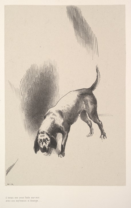 Odilon Redon, He fixed his eyes on me with an expression that was so strange (Hund, Hundeblick,  Symbolismus, Treppenhaus, Wohnzimmer, Studie, Zeichnung, Wunschgröße, schwarz/weiß)