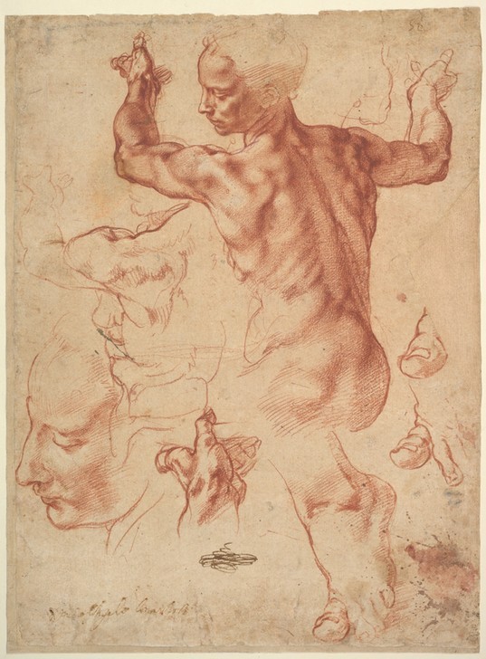 MICHELANGELO BUONARROTI, Studies for the Libyan Sibyl (Sibylle, Aktstudie, Gesicht, Anatomie, Skizze, Zeichnung, Klassiker, Renaissance, Wunschgröße, Rötel)