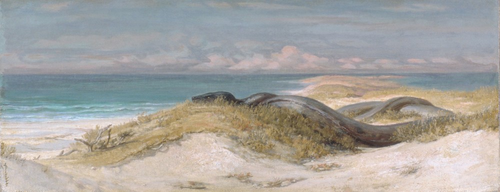 Elihu Vedder, Höhle der Seeschlange  (Schlange, Meer, Strand, Versteck, Horizont, Mysthisch, Wunschgröße, Klassische Moderne, Wohnzimmer)