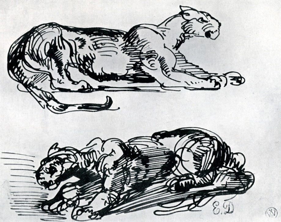 Eugene Delacroix, Studies of Panthers, 1913 (Kunst,Muskel,Renaissance,Portrait,Studie,Körper,Monochromie,Lügen,Alarm)