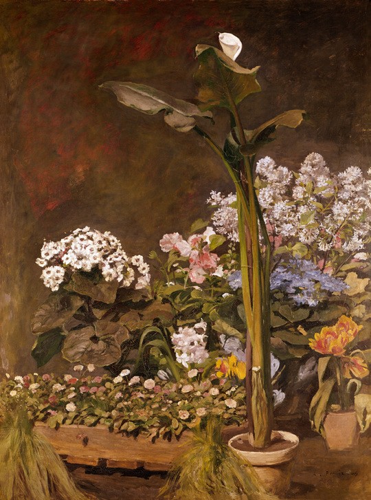 Pierre-Auguste Renoir, Arum et plantes de serre (Botanik,Kunst,Gewächshaus,Impressionismus,Stillleben,Französische Kunst,Blume,Blüte,Aronstab,Blumentopf,Pflanze)
