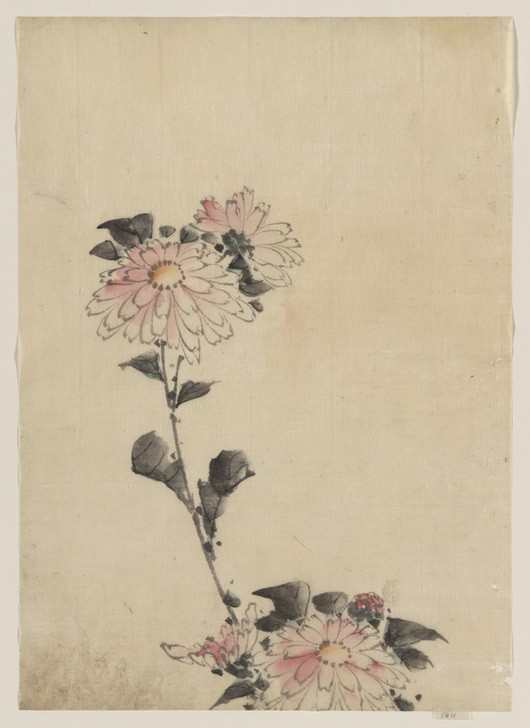 Katsushika Hokusai, Pink Flower Blossoms (Kunst,Völkerkunde,Japanische Kunst,Blume)