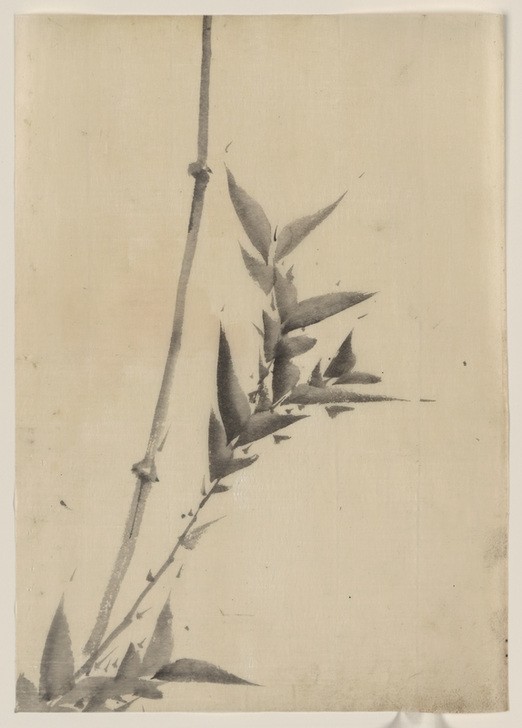 Katsushika Hokusai, Bamboo shoots (Kunst,Völkerkunde,Japanische Kunst,Bambus)