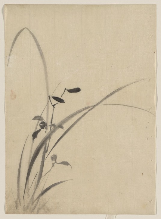 Katsushika Hokusai, Grasses (Kunst,Völkerkunde,Japanische Kunst,Gras)