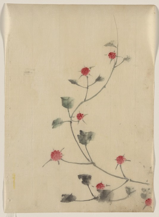Katsushika Hokusai, Small red blossoms on a vine (Kunst,Völkerkunde,Japanische Kunst,Blume)