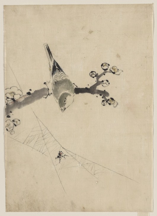 Katsushika Hokusai, Bird on an branch (Kunst,Völkerkunde,Vogel,Japanische Kunst,Spinne)