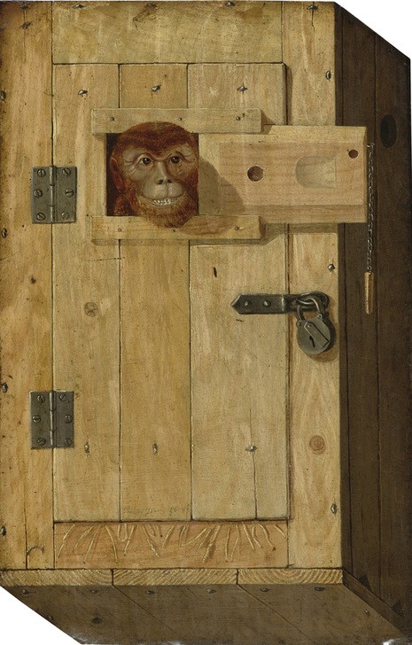 Jòsef Trajtler , Trompe l'oeil with a monkey in a wooden box (Affe, Holzkiste, Klappe, Eingesperrt, Schaukasten, exotische Tiere, Realismus, Malerei, Wunschgröße, Klassische Moderne, Treppenhaus)